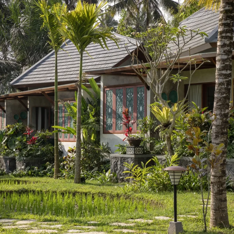 Inara Rice Field View